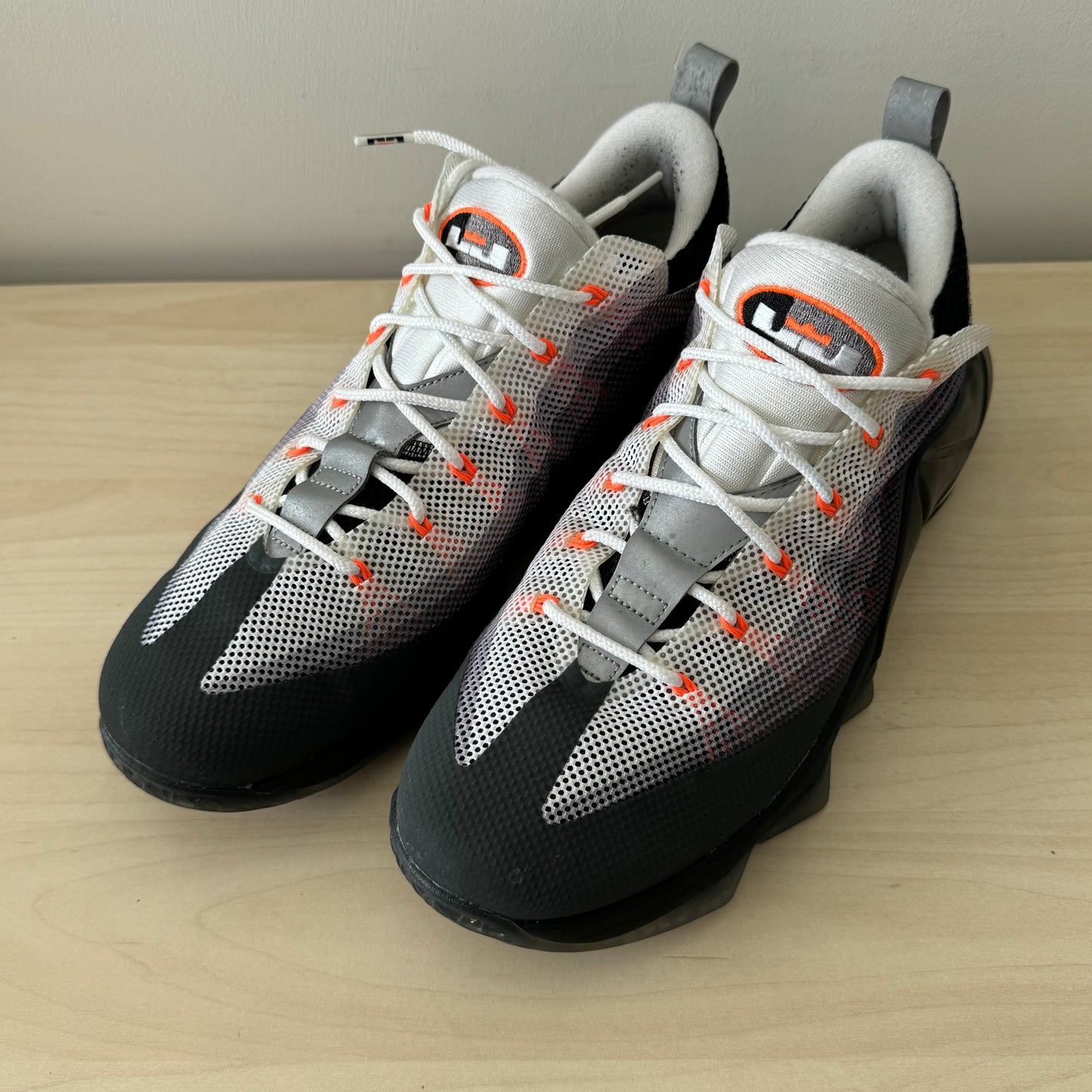 Nike Lebron X Air Max 95 Cool Grey